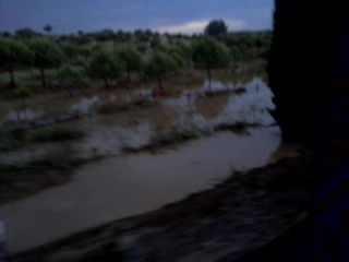 Trovoada com chuva torrencial em Baleizão