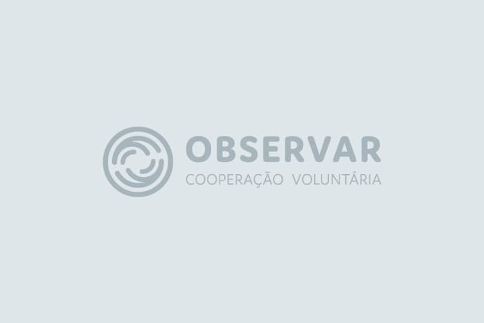Observar